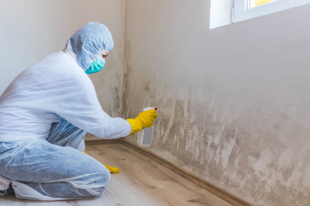 Mold Remediation specialist working in Demarest