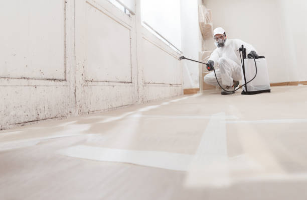 Black mold remediation team in Demarest