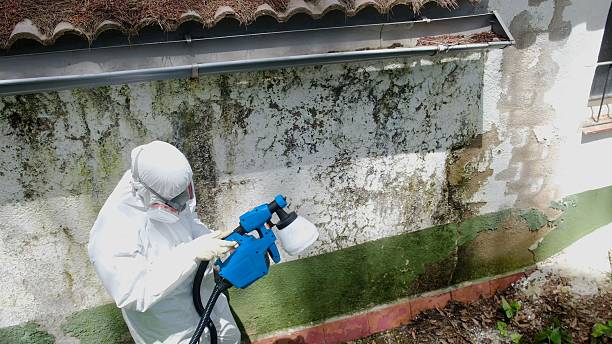 Mold Removal service in Demarest